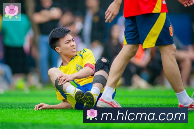 博亚官网发展历程